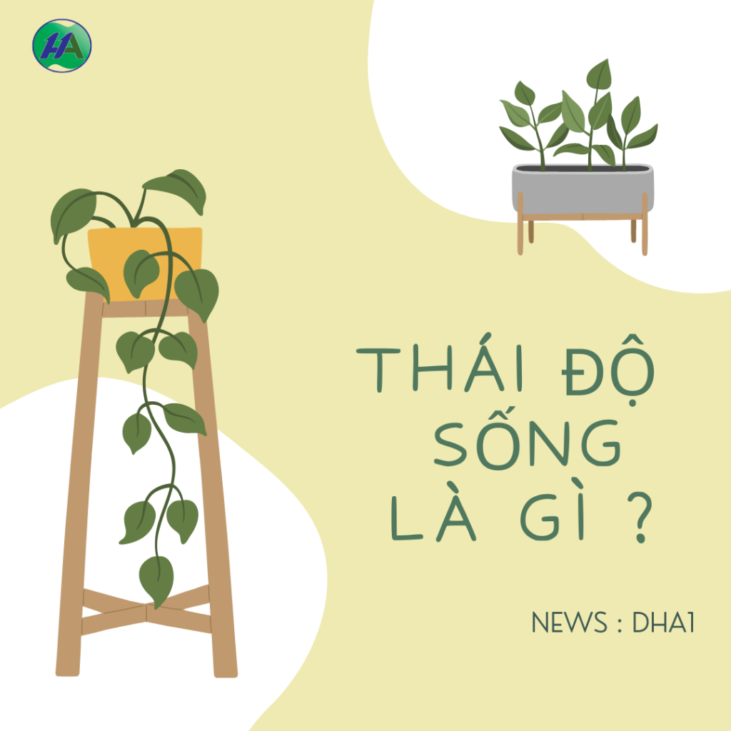 THÁI ĐỘ SỐNG QUYẾT ĐỊNH YẾU TỐ CHẤT LƯỢNG CUỘC SỐNG – Công ty TNHH ...